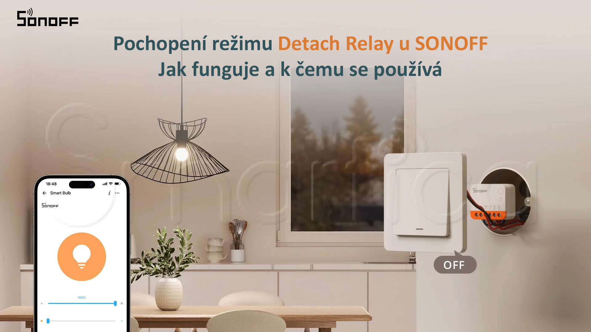 Sonoff Detach Relay Mode schéma